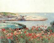 施尔德 哈森 : Poppies, Isles of Shoals